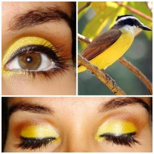 Bem-Te-Vi--Pitangus sulphuratus (2)