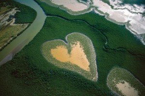 CORAÇÃO DE VOH EM 1990, NOVA CALEDÔNIA, FRANÇA