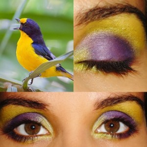 Gaturamo verdadeiro (Euphonia violacea)