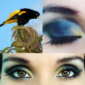 Japiim (Cacicus cela)