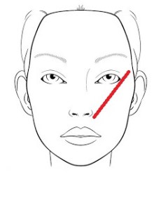 MUA_Face_Chart_SM